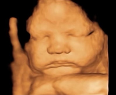Soft keepsake bear that holds a recording of a baby's heartbeat